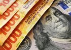 Dolarización Retail": El Gobierno Cede a la Presión y Expone a Pequeños Ahorristas a la Volatilidad