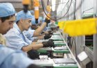 Sombrío Panorama Industrial: Ajuste Brutal y Futuro Incierto Bajo la Lupa Oficial