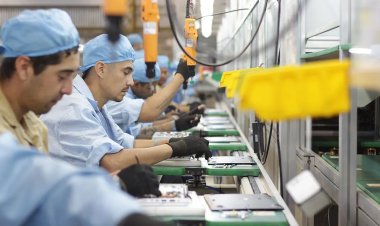 Sombrío Panorama Industrial: Ajuste Brutal y Futuro Incierto Bajo la Lupa Oficial