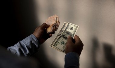 El espejismo del dólar: la especulación financiera al desnudo y sus víctimas