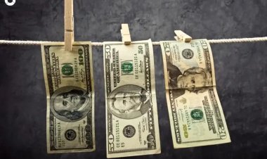 Milei abre las puertas al lavado: la dolarización sin control como salvavidas para la fuga