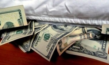 Dólares del Colchón: ¿Blanqueo para Pocos o Recaudación con Justicia Social?