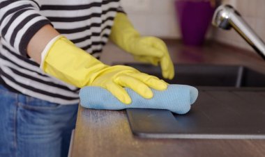 Emergencia Salarial para Empleadas Domésticas: Precarización y Amenaza de Eliminación de Paritarias