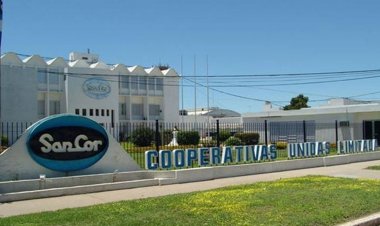 El Agónico Derrumbe de SanCor: Un Símbolo de la Destrucción Láctea y el Olvido Cooperativo