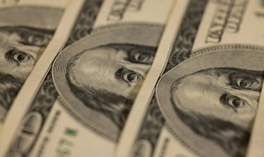 El Dólar Se Recalienta: Un Termómetro de la Angustia Popular