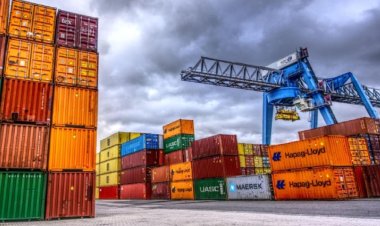 Avalancha Importadora: El 42% de las PyMEs al Borde del Abismo por la Política del Gobierno