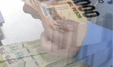 El Espejismo "Libertario" se Desvanece: Crisis Cambiaria y Parálisis de la Economía Real Marcan la Previa Electoral