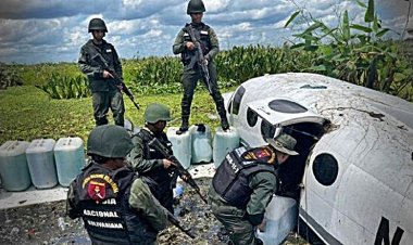 FANB Intercepta e Inmoviliza Aeronave Ilegal  Procedente del Caribe