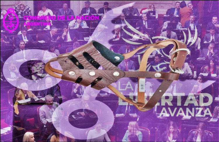 Maniobra Descarada: La Libertad Avanza Busca Ponerle un Bozal al Presupuesto para Profundizar el Ajuste Neoliberal