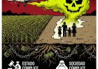 El Modelo del Veneno: El agronegocio avanza sobre la salud de los argentinos con la complicidad del Estado