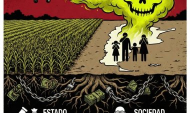 El Modelo del Veneno: El agronegocio avanza sobre la salud de los argentinos con la complicidad del Estado