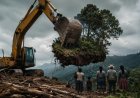 Ofensiva sobre los bienes comunes: la flexibilización ambiental como estrategia de dependencia